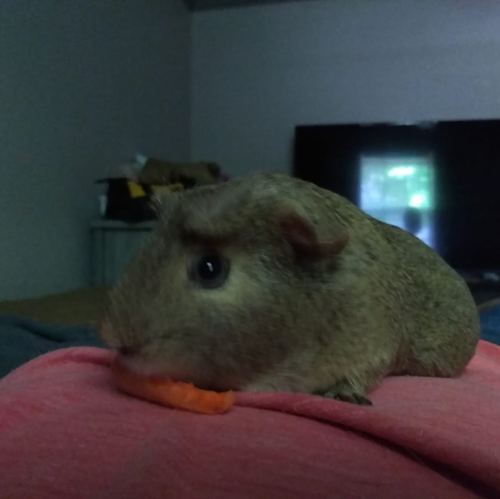 Meet your Posher, Aureliano